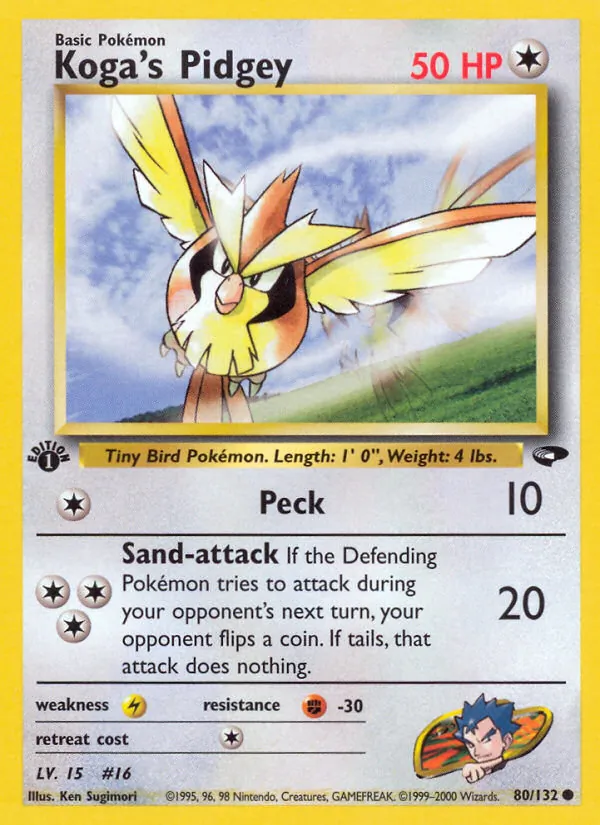 Koga's Pidgey, Gym Challenge No. 80