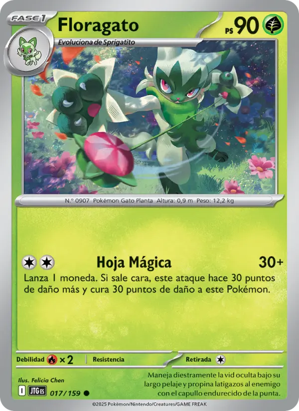 Floragato, Juntos de Aventuras No. 017