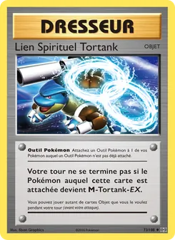 Lien Spirituel Tortank, Évolutions Nº 73 Normal