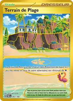 Terrain de Plage, Faille Paradoxe Nº 263 Holo