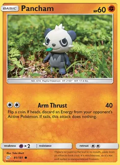 Pancham, Team Up Nº 81 Normal