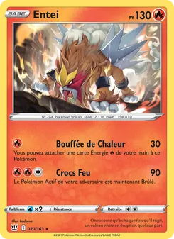 Entei, Styles de combat Nº 20 Holo