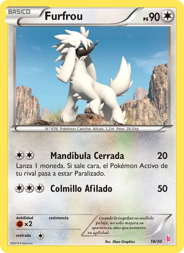 Furfrou, Kit de Entrenador XY (Pikachu Enmascarada) No. 16