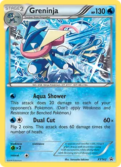 Greninja, XY Black Star Promos No. XY162 Normal