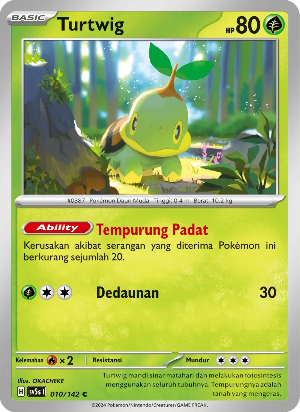 Turtwig, Paradoks Andalan Nº 010