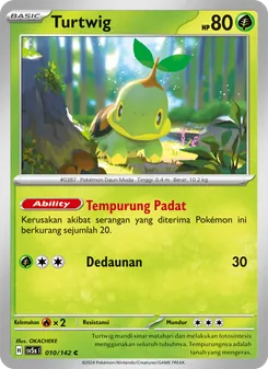 Turtwig, Paradoks Andalan No. 010 Normal