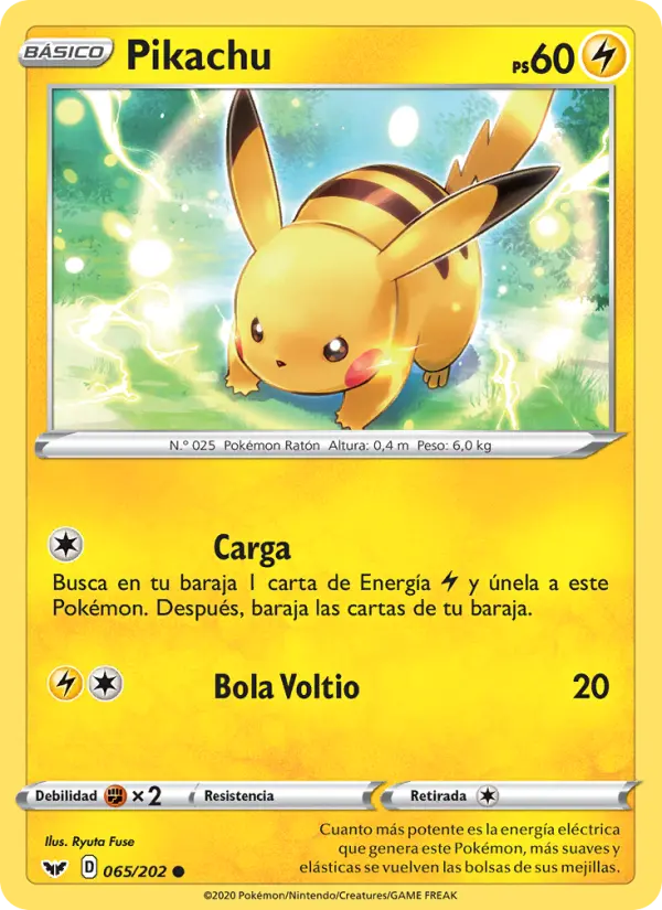 Pikachu, Espada y Escudo No. 65