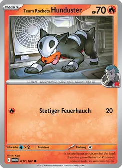 Team Rockets Hunduster, Ewige Rivalen No. 037 Normal
