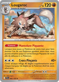 Lougaroc, Aventures Ensemble No. 085 Holo