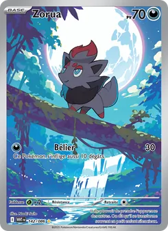 Zorua, Flamme Blanche Nº 142 Holo