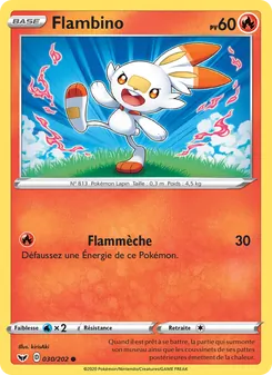 Flambino, Épée et Bouclier No. 30 Normal