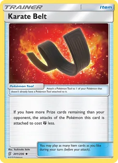 Karate Belt, Unified Minds No. 201 Normal