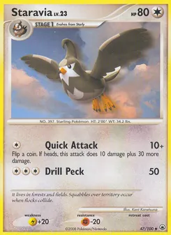 Staravia, Majestic Dawn No. 47 Normal