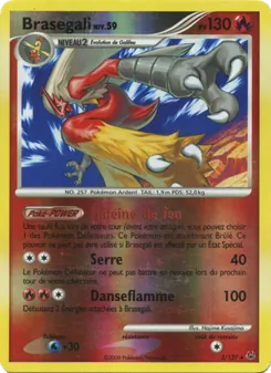 Brasegali, Platine No. 3 Holo