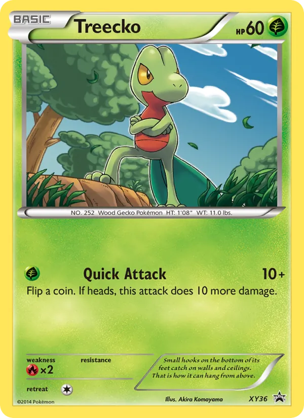 Treecko, XY Black Star Promos No. XY36
