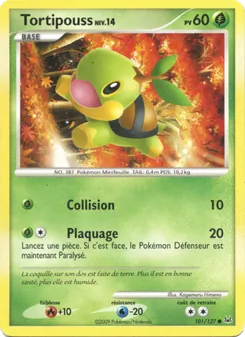 Tortipouss, Platine No. 101 Normal