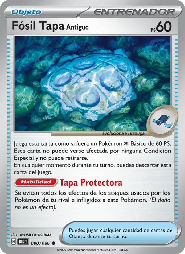 Fósil Tapa Antiguo, Fulgor Negro No. 080