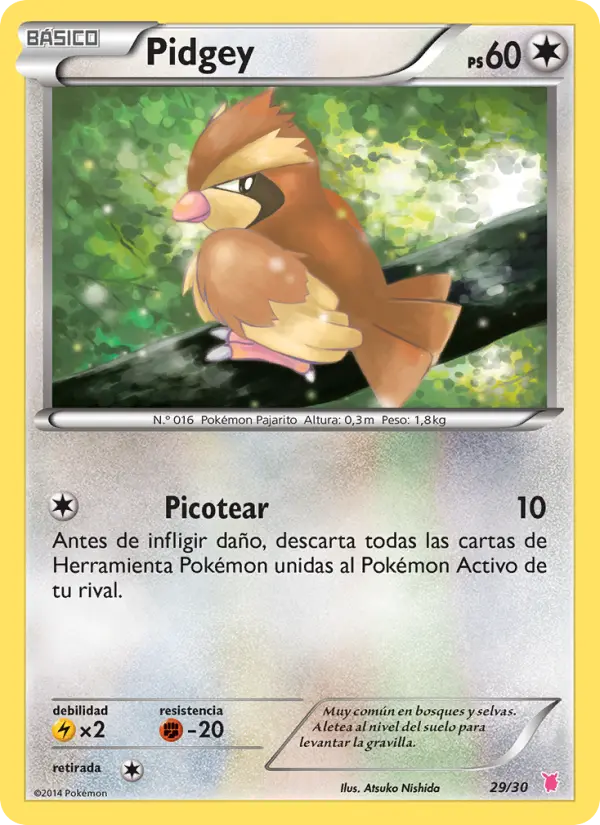 Pidgey, Kit de Entrenador XY (Wigglytuff) Nº 29