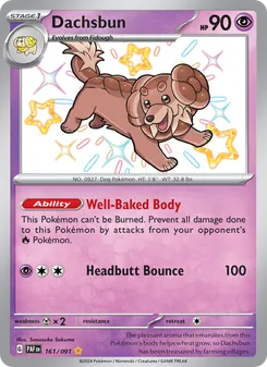 Dachsbun, Paldean Fates No. 161 Holo