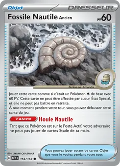 Fossile Nautile Ancien, 151 No. 153 Normal