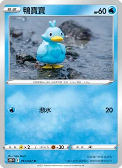 鴨寶寶, 時間觀察者 No. 017 Normal