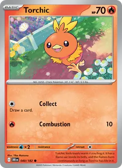Torchic, Destined Rivals No. 040 Normal