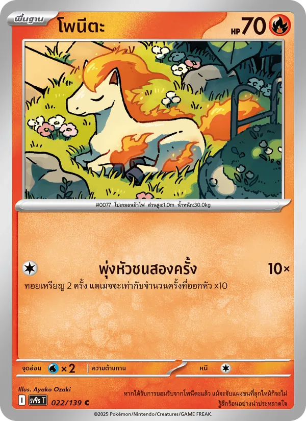 โพนีตะ, สายใยแห่งโชคชะตา No. 022
