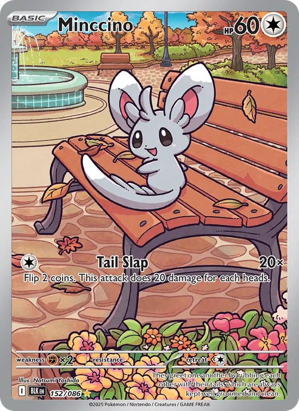 Minccino, Black Bolt Nº 152