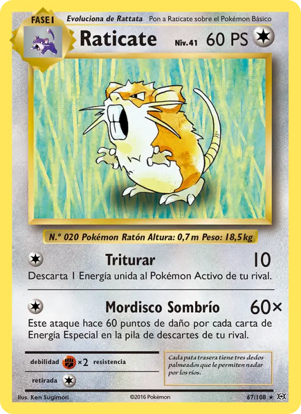 Raticate, Evoluciones Nº 67