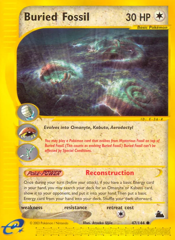 Buried Fossil, Skyridge Nº 47