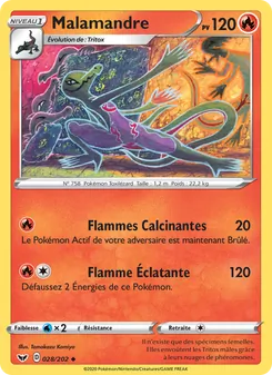 Malamandre, Épée et Bouclier Nº 28 Normal