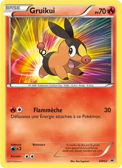 Gruikui, Promo BW No. BW02