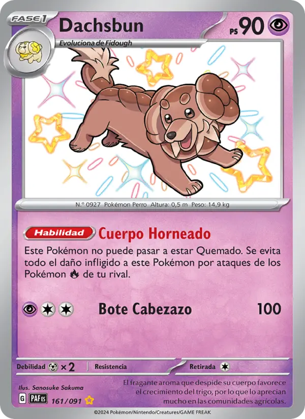 Dachsbun, Destinos de Paldea No. 161