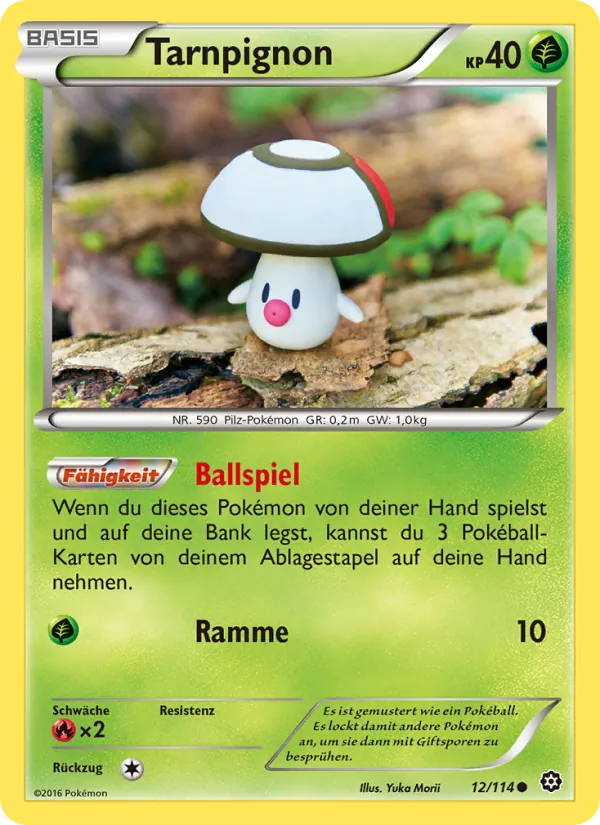 Tarnpignon, Dampfkessel No. 12