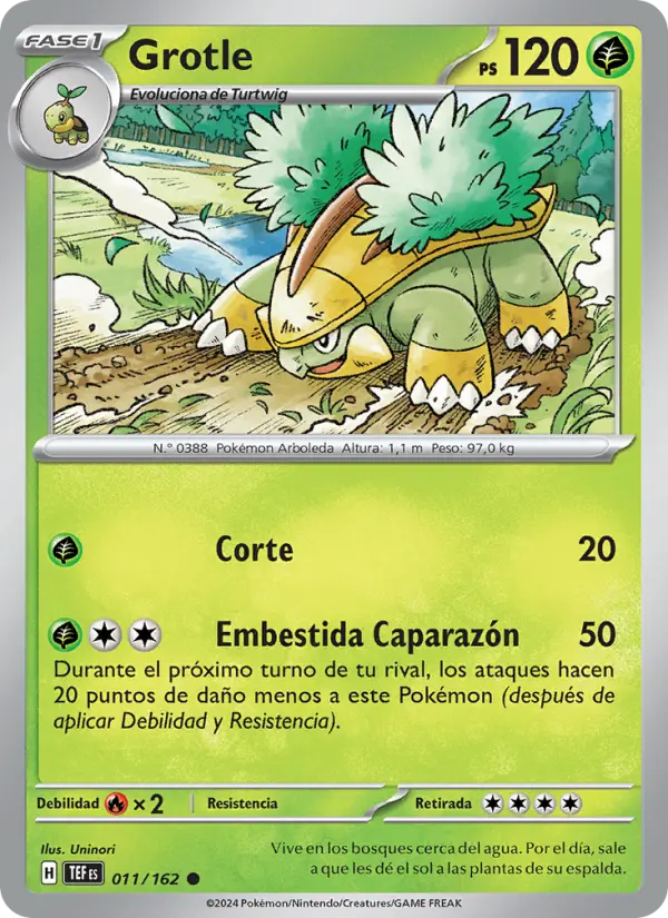 Grotle, Fuerzas Temporales No. 011