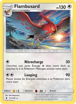 Flambusard, Gardiens Ascendants Nº 111 Normal