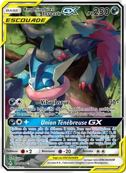Amphinobi et Zoroark GX, Alliance Infaillible No. 201 Normal