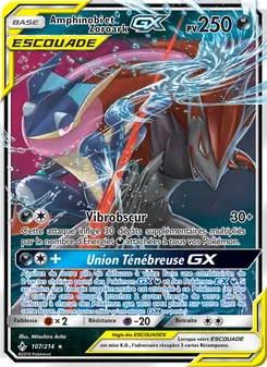 Amphinobi et Zoroark GX, Alliance Infaillible No. 107 Normal