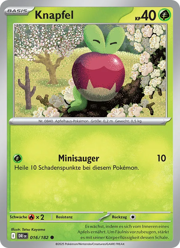 Knapfel, Ewige Rivalen No. 016