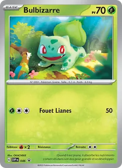 Bulbizarre, SVP Black Star Promos No. 046 Holo