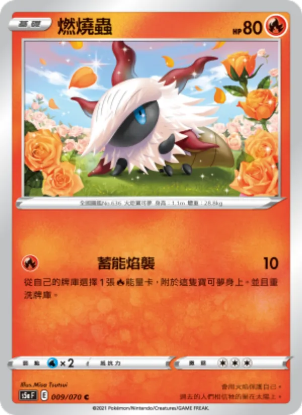 燃燒蟲, 雙璧戰士 Nº 009