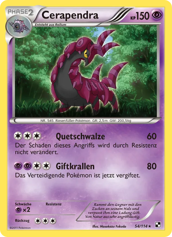 Cerapendra, Schwarz & Weiß Nº 54