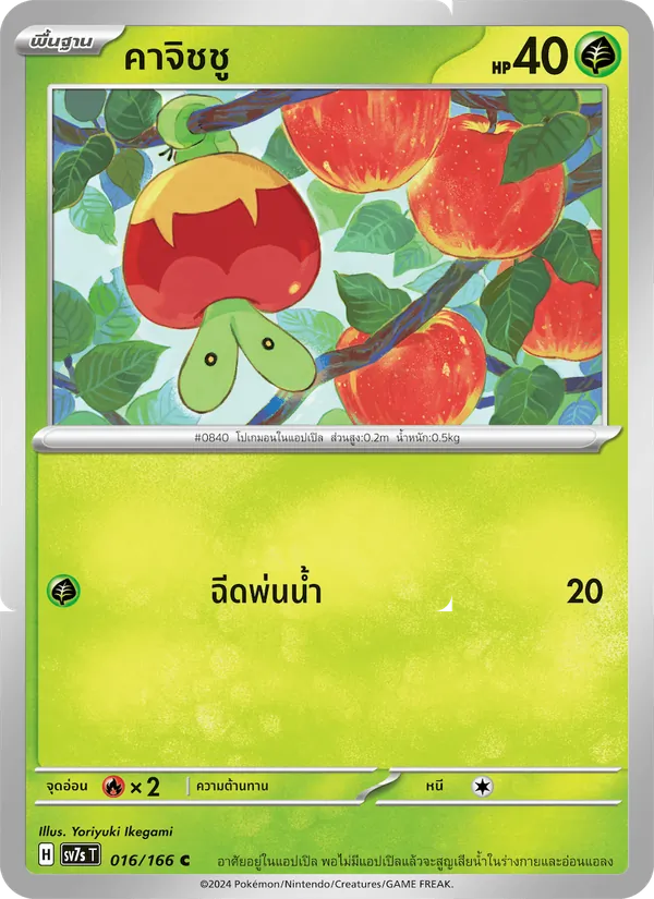 คาจิชชู, แสงนำทางแห่งสเตลลาร์ No. 016