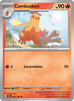 Combusken, Avventure Insieme No. 023 Normal