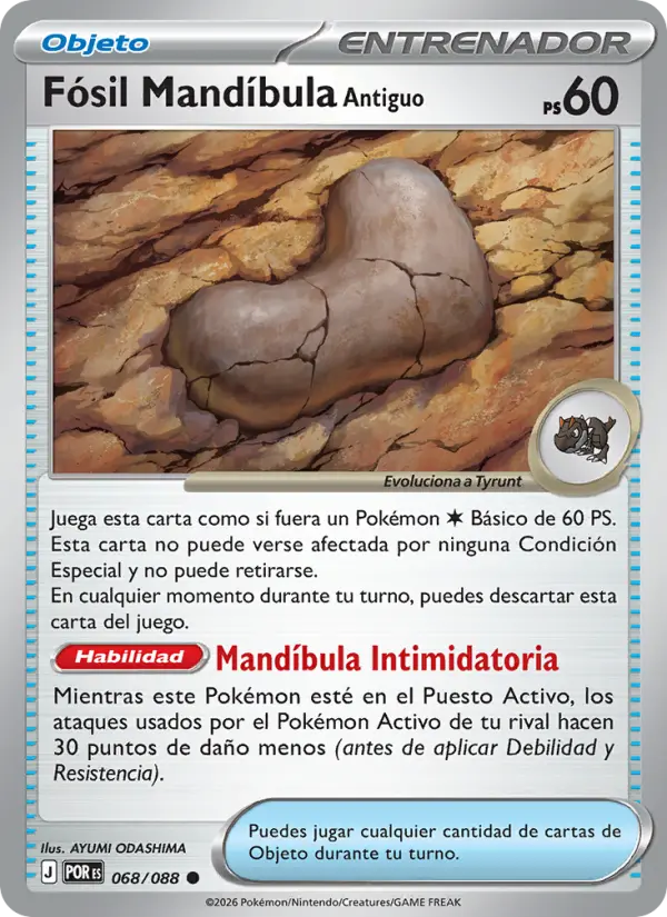 Fósil Mandíbula Antiguo, Equilibrio Perfecto No. 068