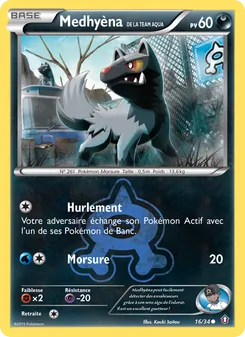 Medhyèna de la Team Aqua, Double Danger Nº 16 Normal