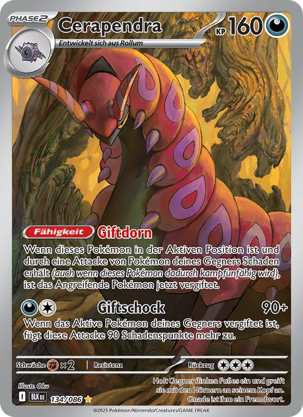 Cerapendra, Schwarze Blitze Nº 134