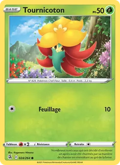 Tournicoton, Poing de Fusion Nº 24 Normal