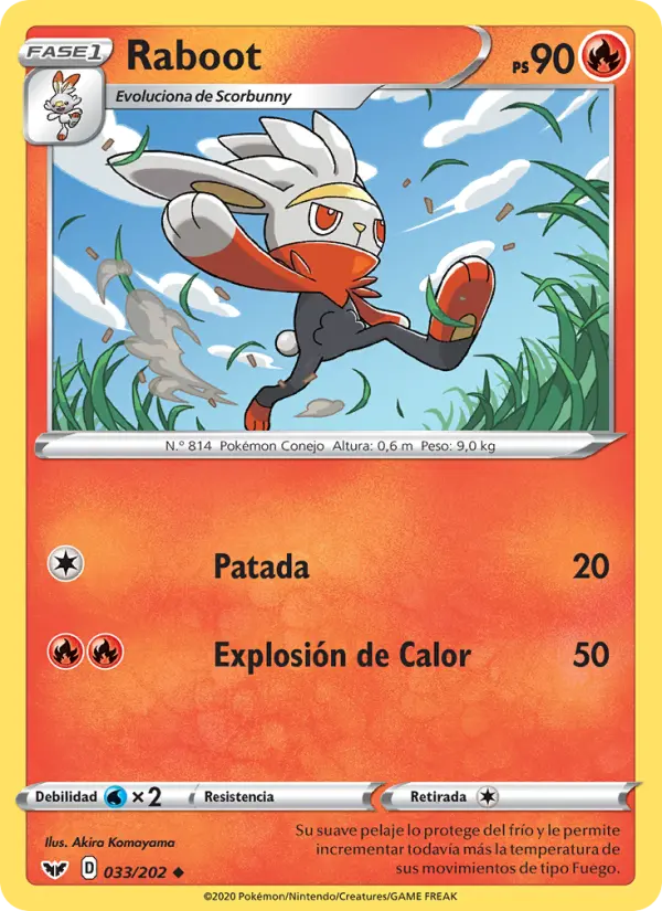 Raboot, Espada y Escudo No. 33