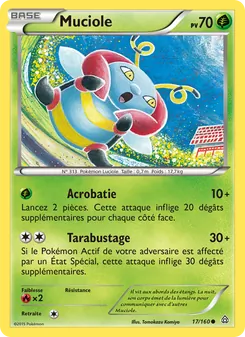 Muciole, Primo-Choc No. 17 Normal
